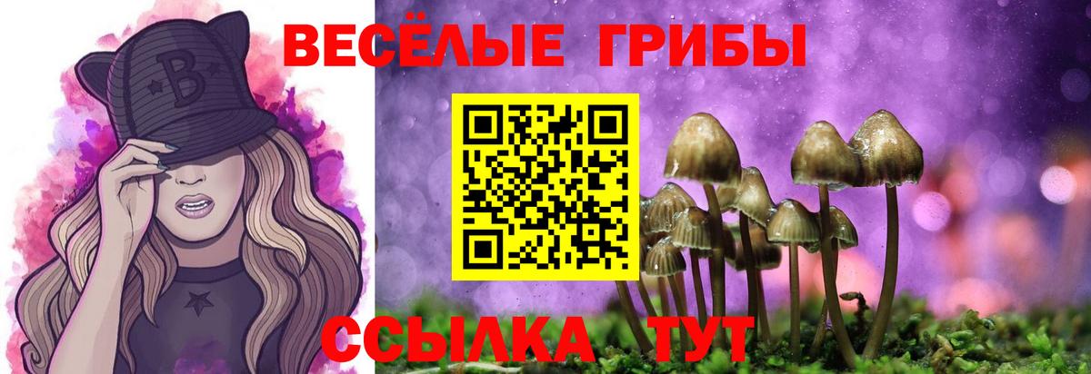 Псилоцибиновые грибы прущие грибы Москва